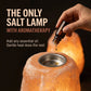 GAYA™ Himalayan Salt Lamp with Aromatherapy Tray