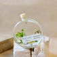Botanical Reed Diffuser – 100ml Handmade Home Fragrance | 23 Scents