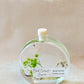 Botanical Reed Diffuser – 100ml Handmade Home Fragrance | 23 Scents