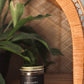 Palo Santo Incense Cones