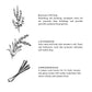 Shangri-La - Reed Diffuser (Eucalyptus + Lavender + Lemongrass)
