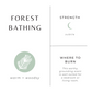 Forest Bathing - Fir + Pine + Patchouli